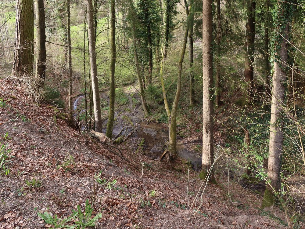 Mühlbach