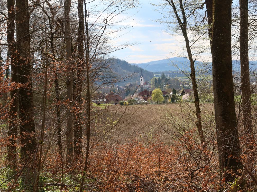 Blick Richtung Steisslingen