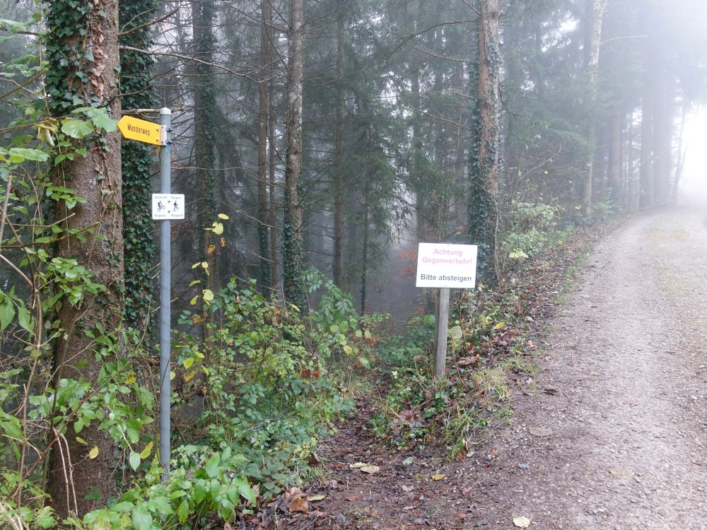 Toggenburger Höhenweg
