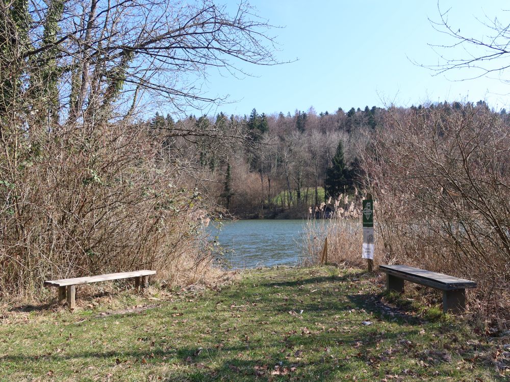Sizbänke am Brauiweiher