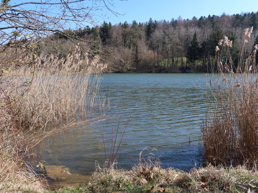 Brauiweiher