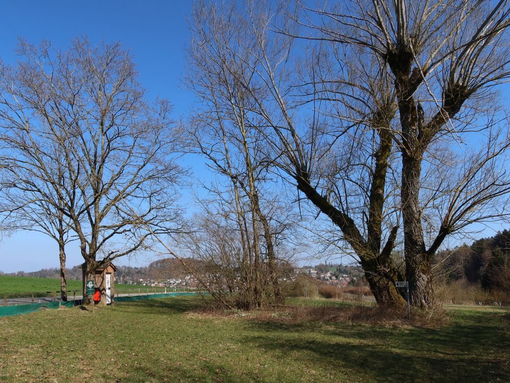 WC-Häuschen am Brauiweiher