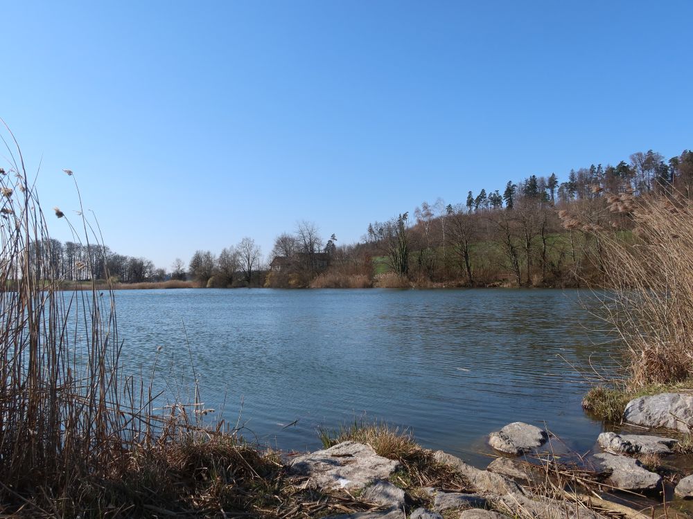 Brauiweiher