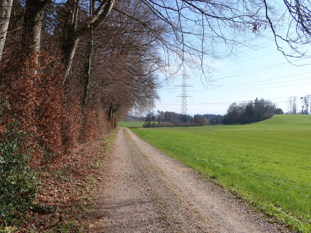 Hombergweg