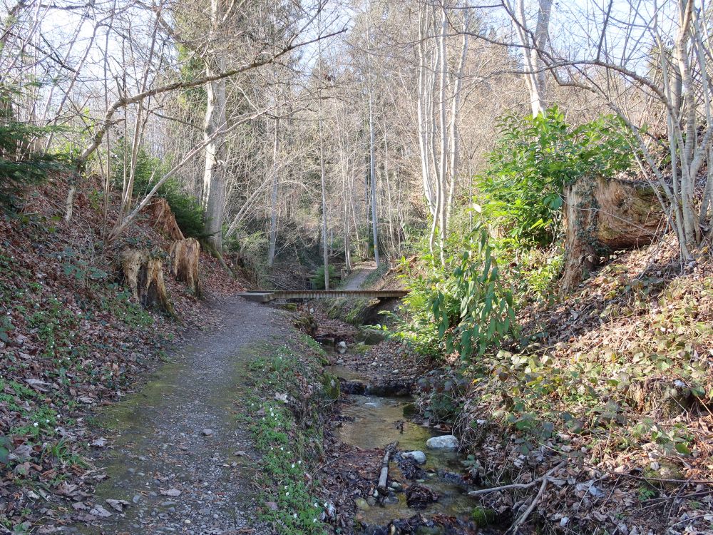 Pfad am Tobelweidli