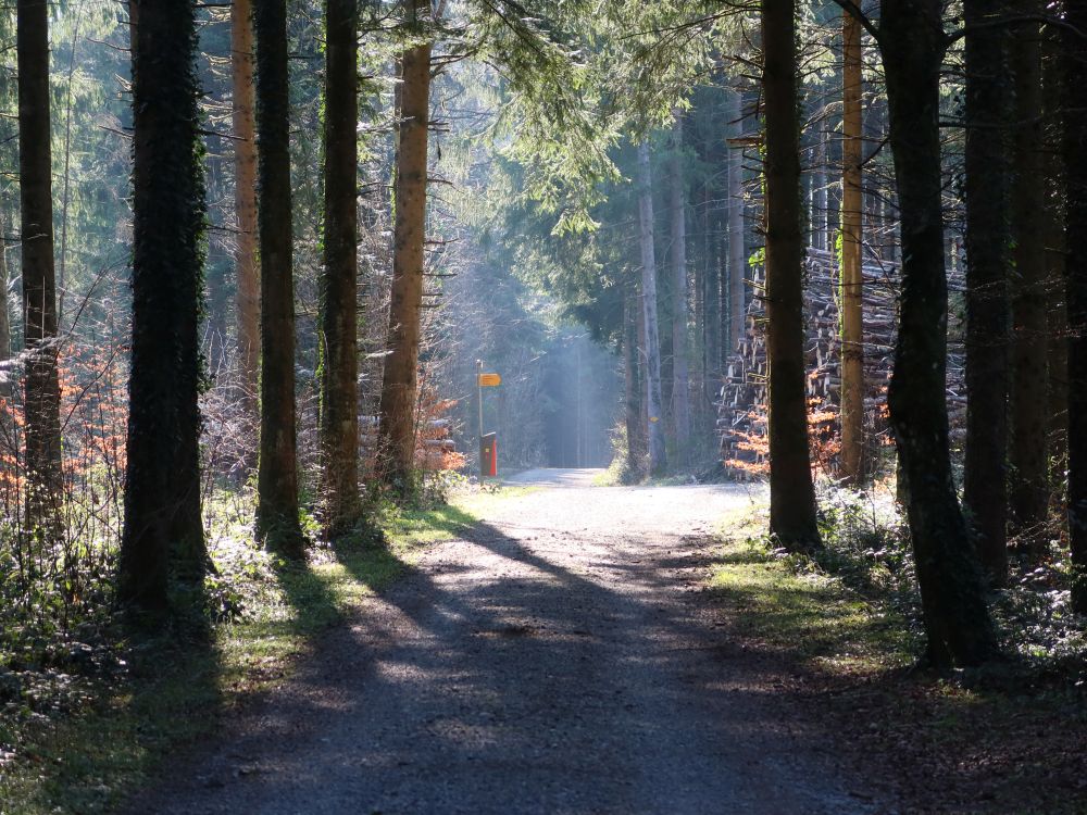 Waldweg