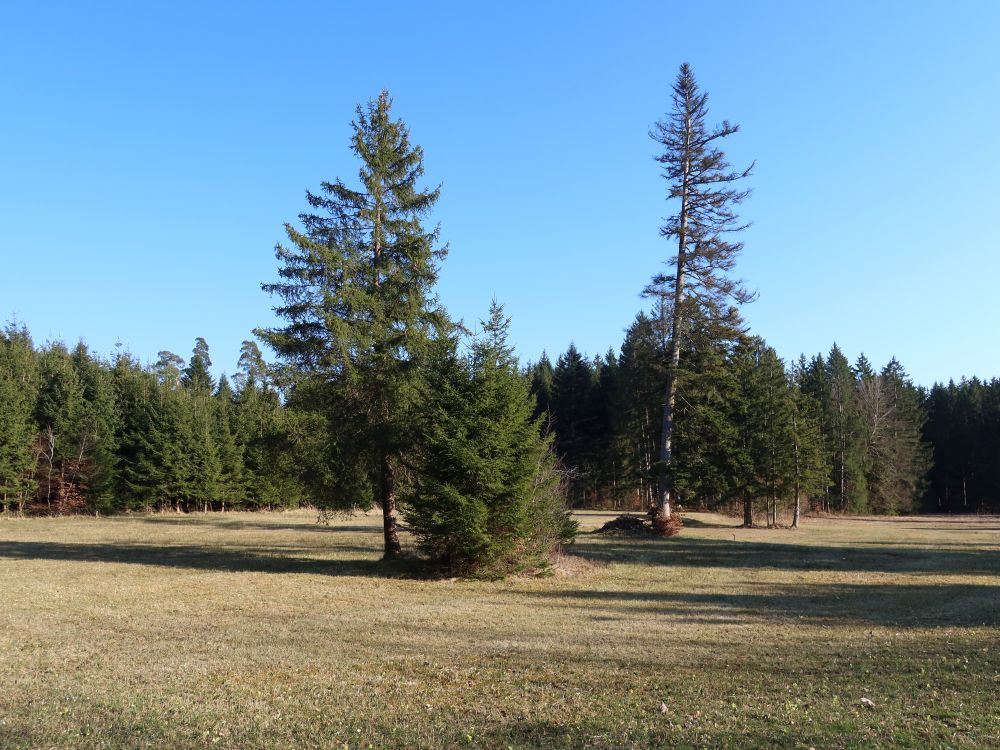 Naturschutzgebier Gsang