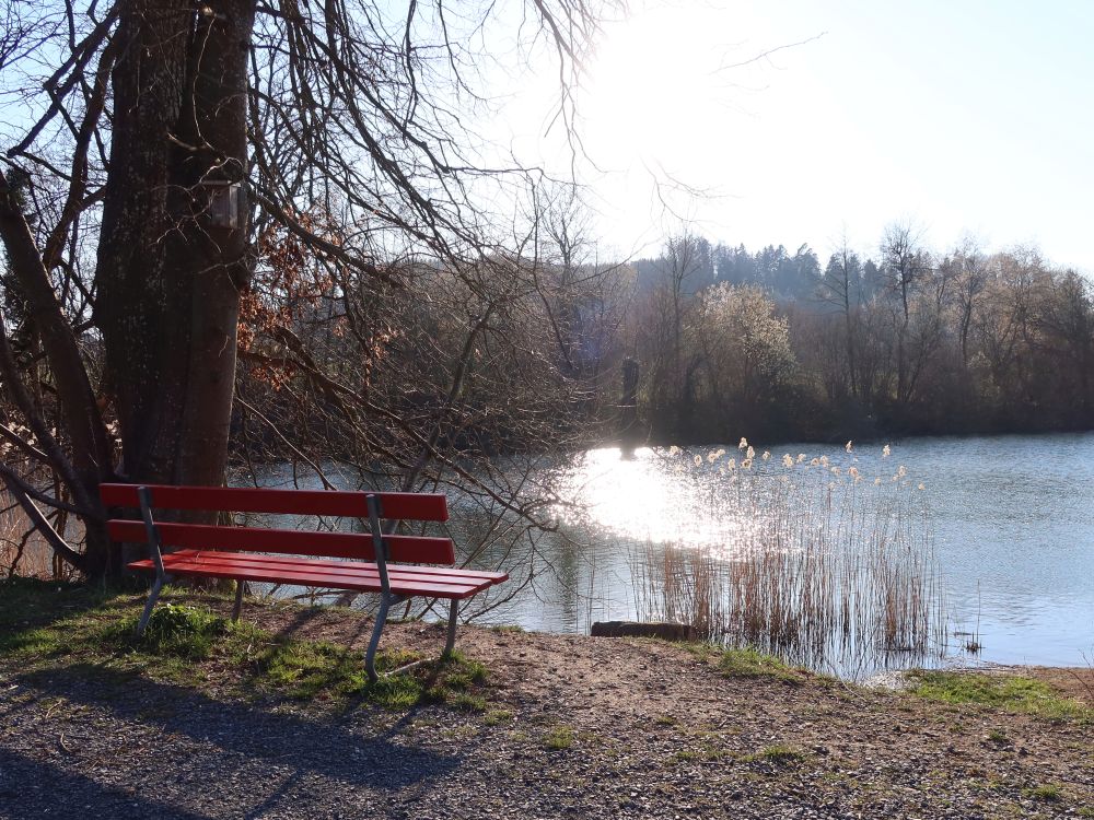 Sitzbank am Theilinger Weiher