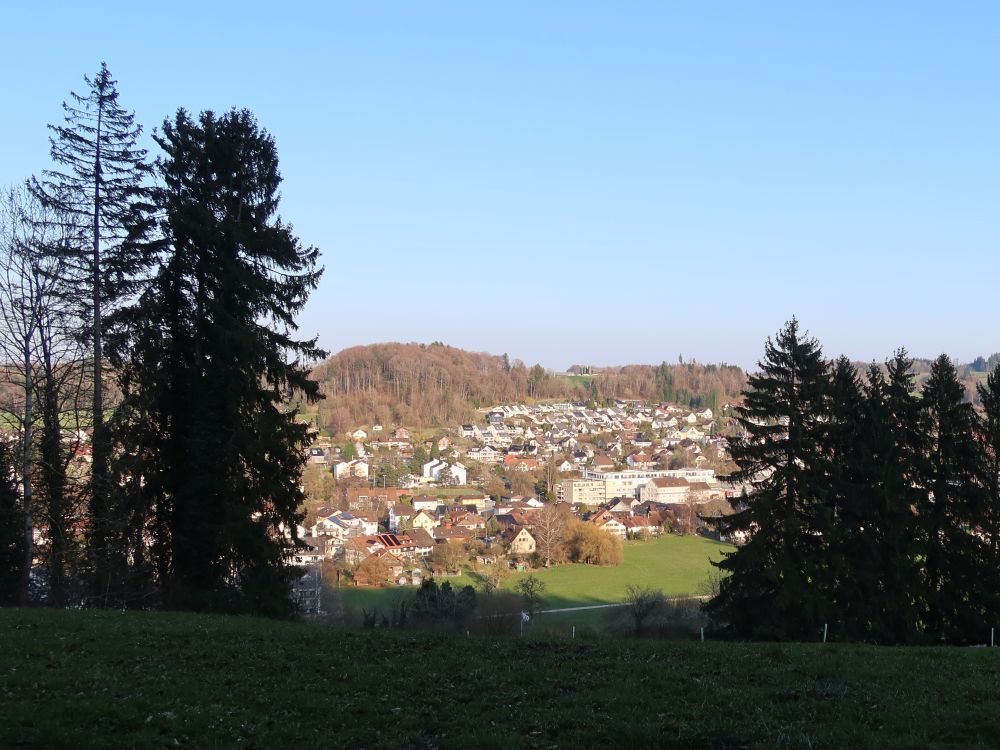 Weisslingen