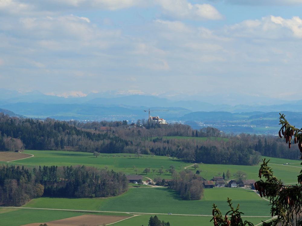 Schloss Sonnenberg und Alpen