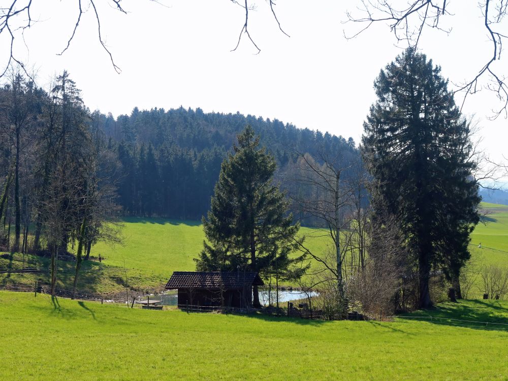 Hütte am Ganterbach