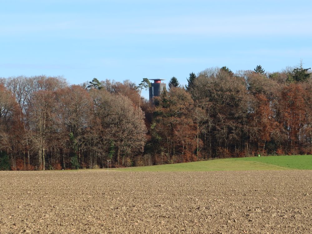Napoleonturm hinter Bäumen