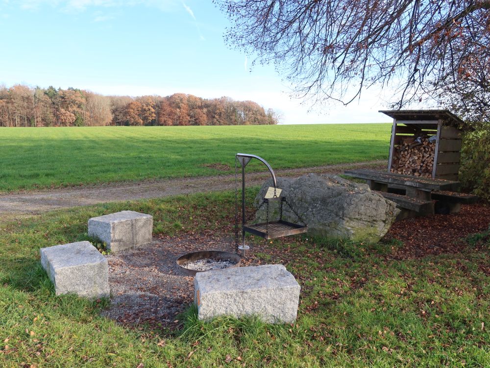 Feuerstelle mit Brennholz