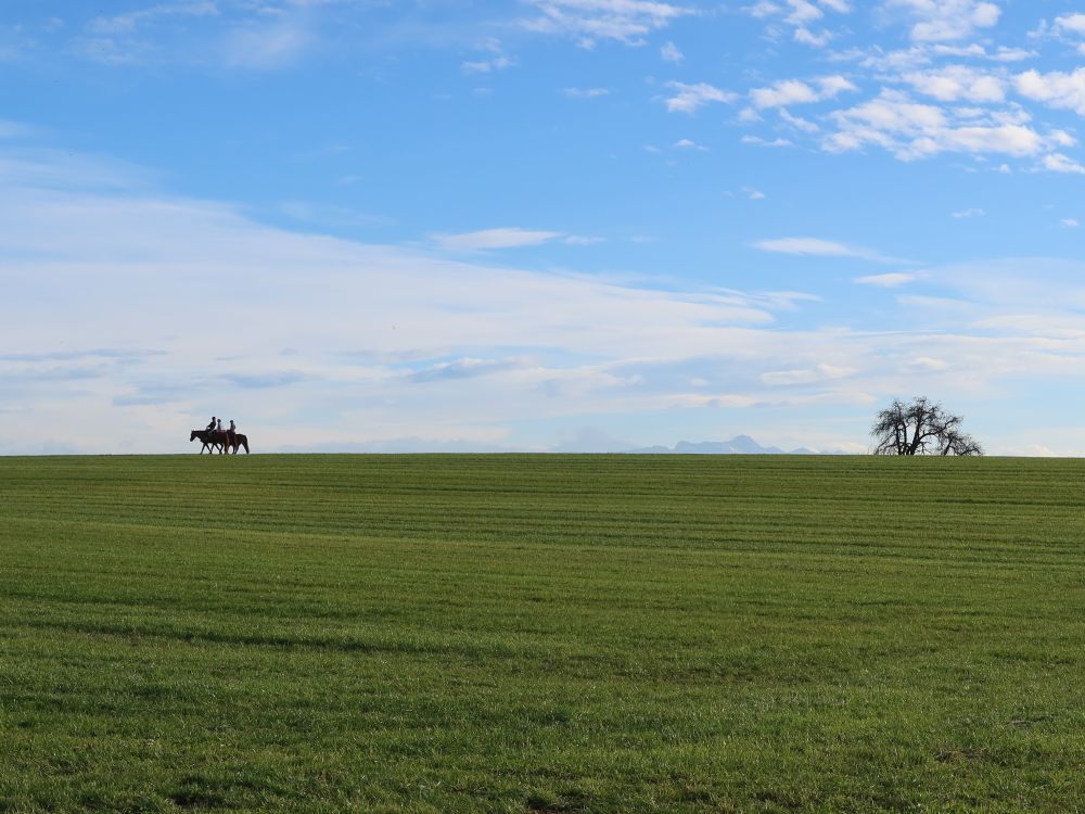 Reiter und Säntis am Horizont