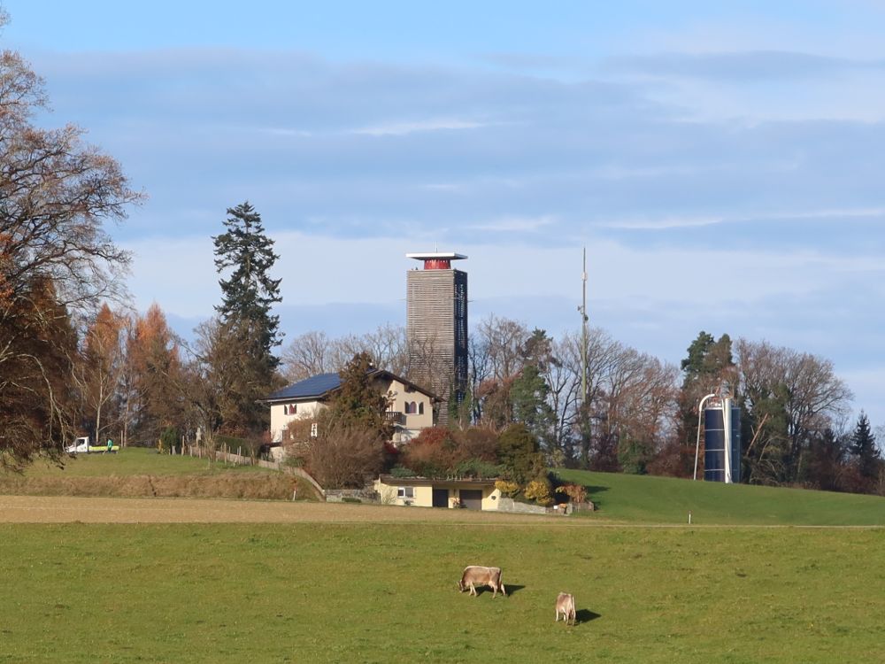 Blick zum Napoleonturm