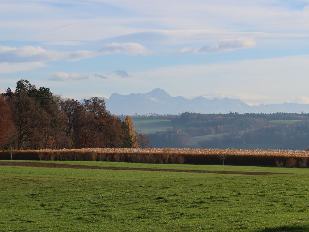 Blick zum Säntis