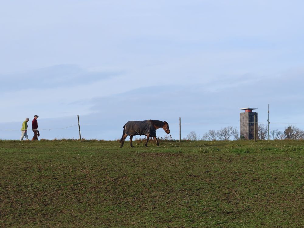Wanderer, Pferd und Napoleonturm