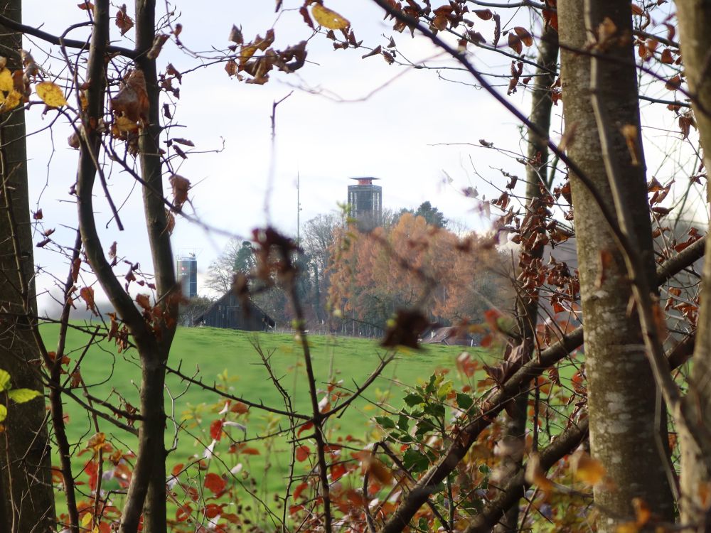 Napoleonturm zwischen Bäumen