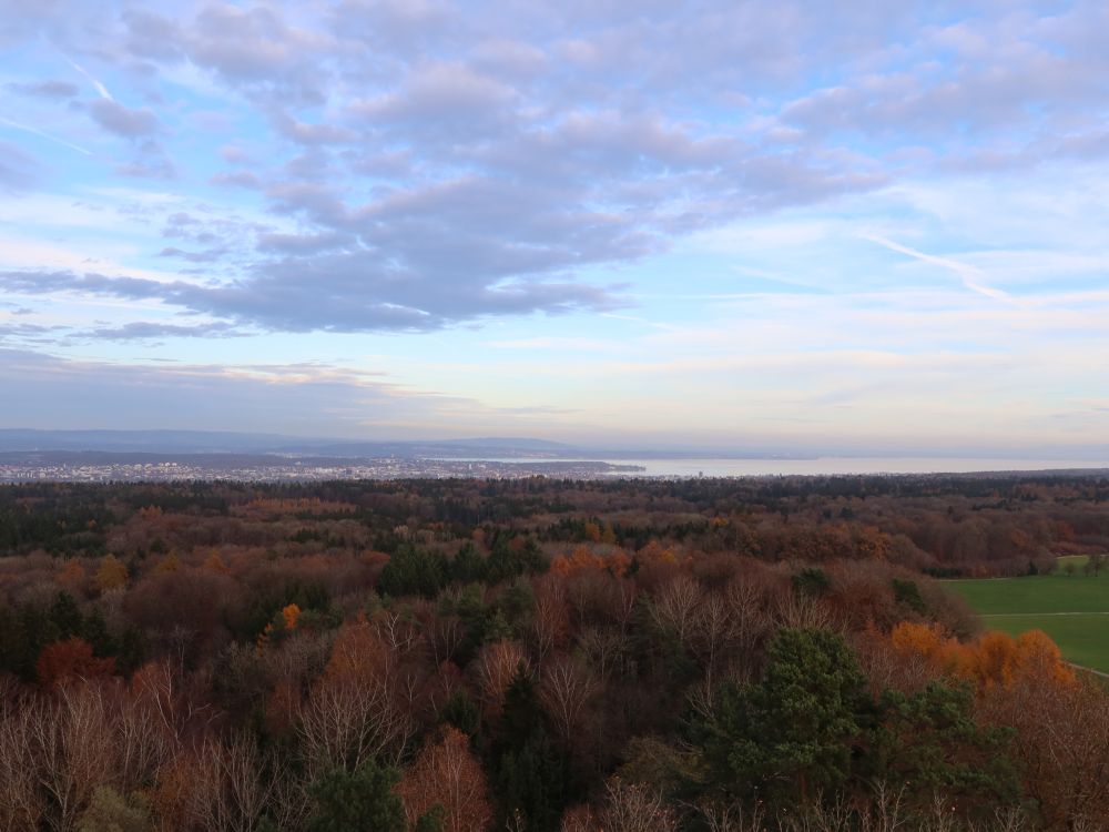 Blick vom Turm Richtung Konstanz