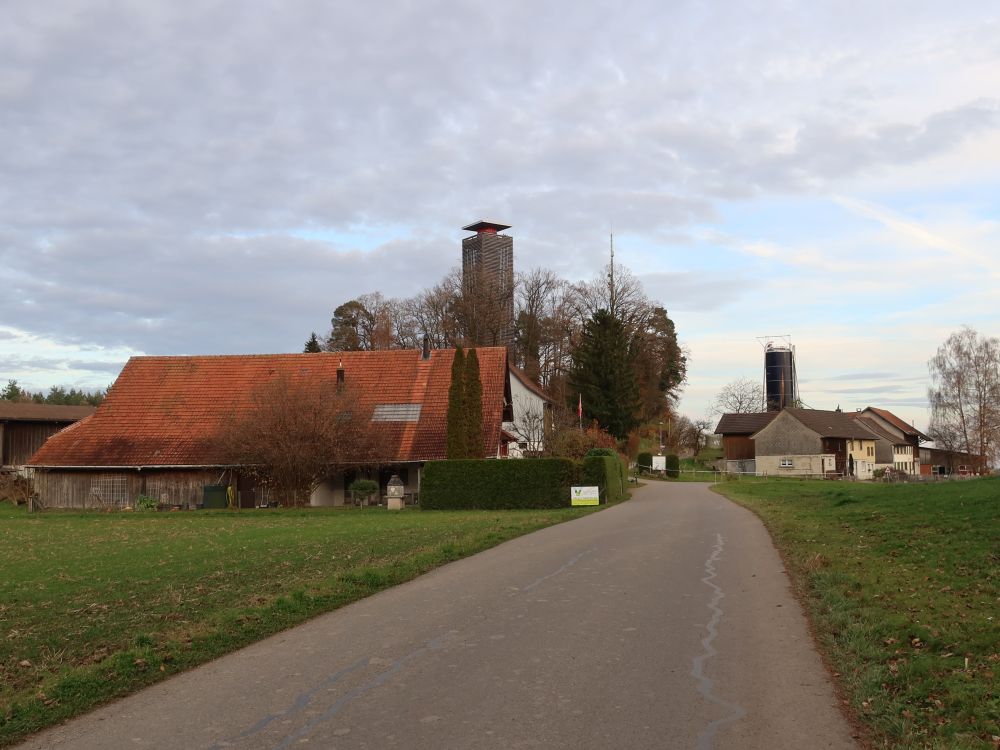 Hohenrain mit Napoleonturm