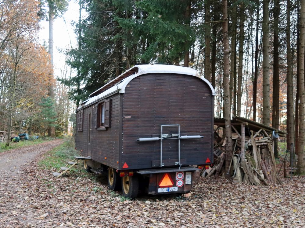 Bauwagen im Rüüteli