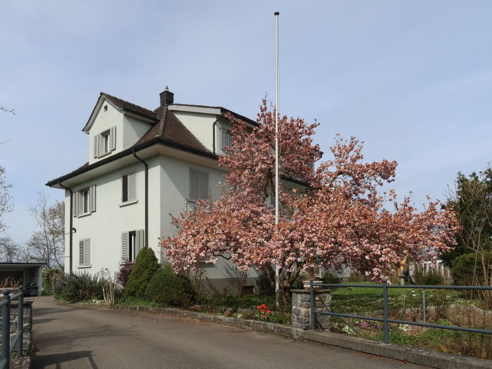 Haus in Stettbach
