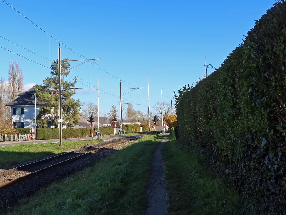 Bahnlinie bei Eschlibach