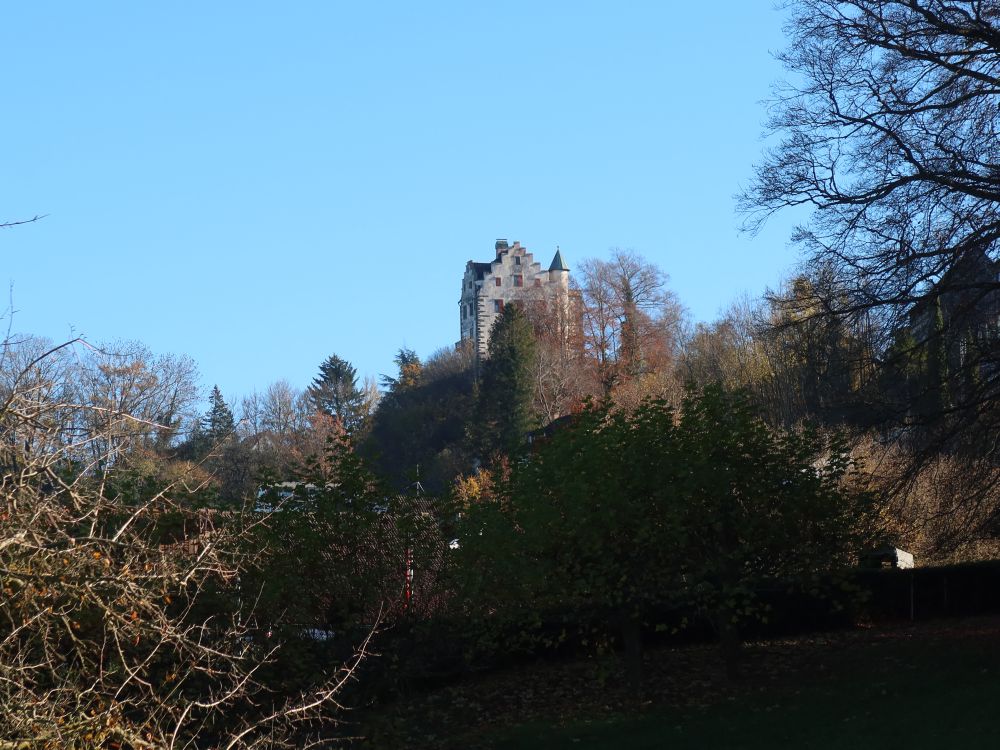 Schloss Salenstein