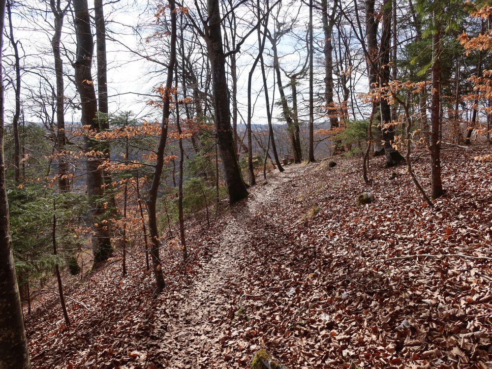 Pfad an der Bergkante