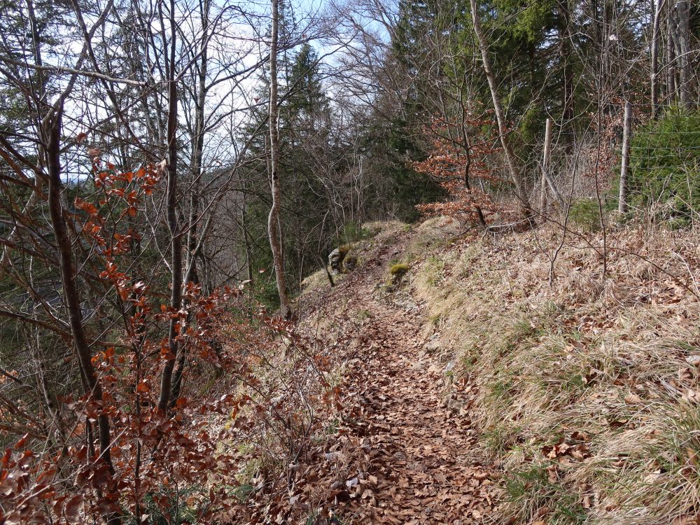 Pfad an der Bergkante