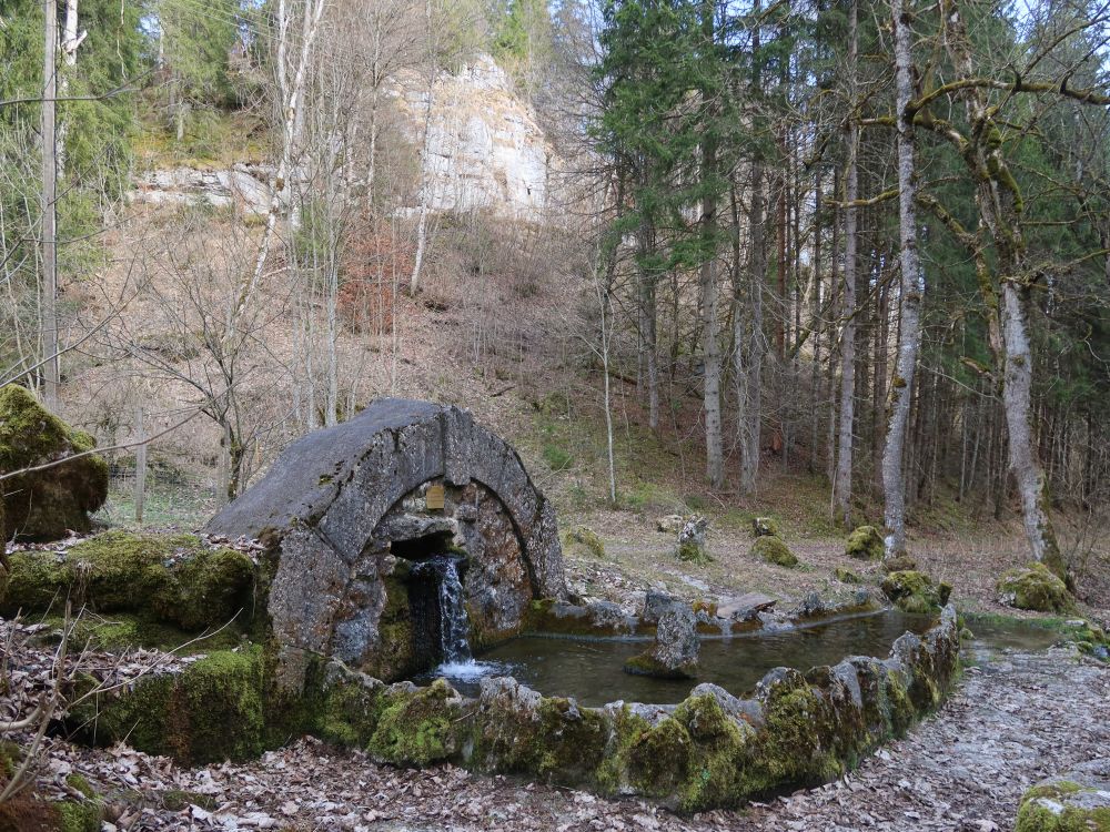 Grauentalquelle