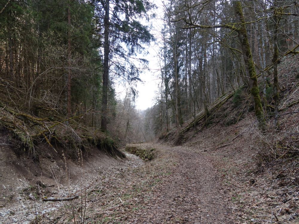 Weg an der ausgetrockneten Lippach