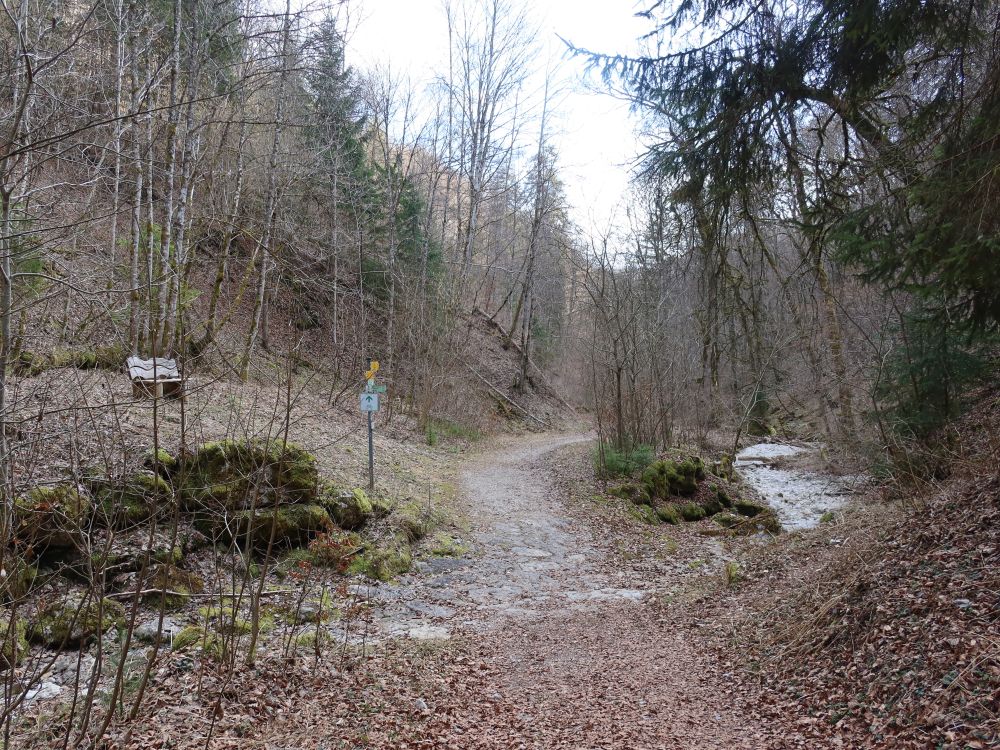 Weg im Schäfertal