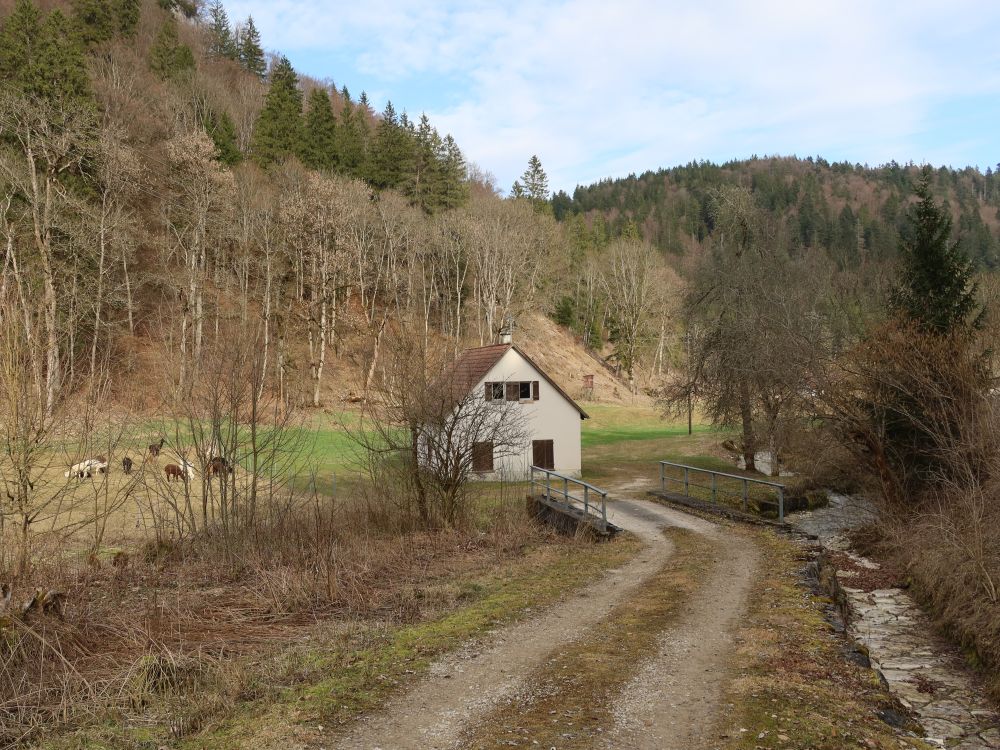 Häuschen an der Lippach