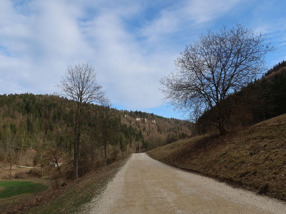 Weg im Schäfertal