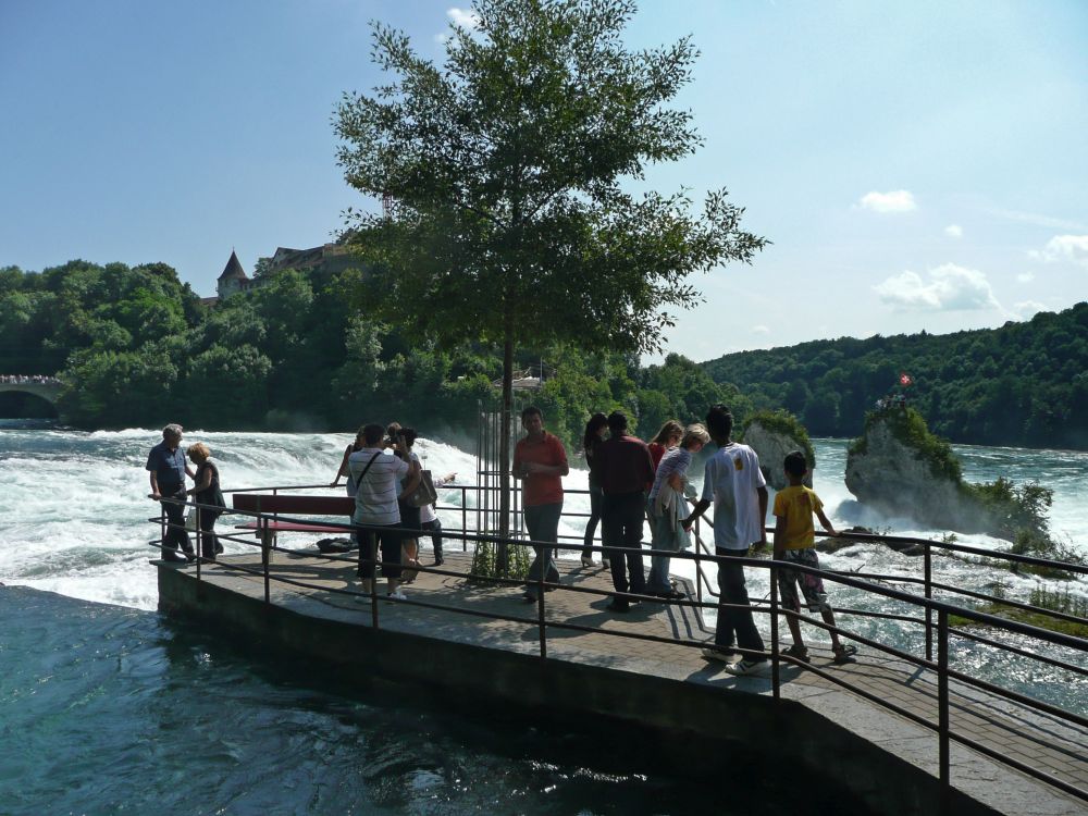 oberhalb des Rheinfalls