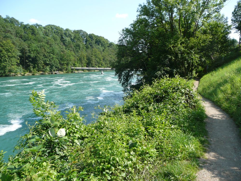 Wanderweg am Rhein (abwärts)