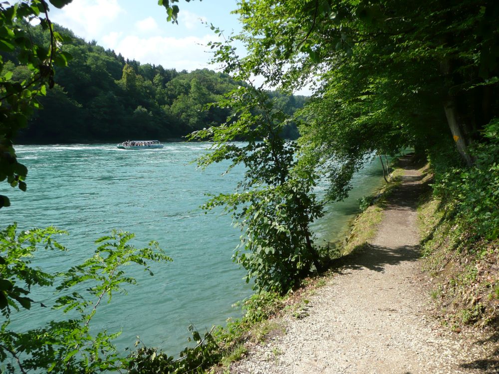 Wanderweg am Rhein (aufwärts)