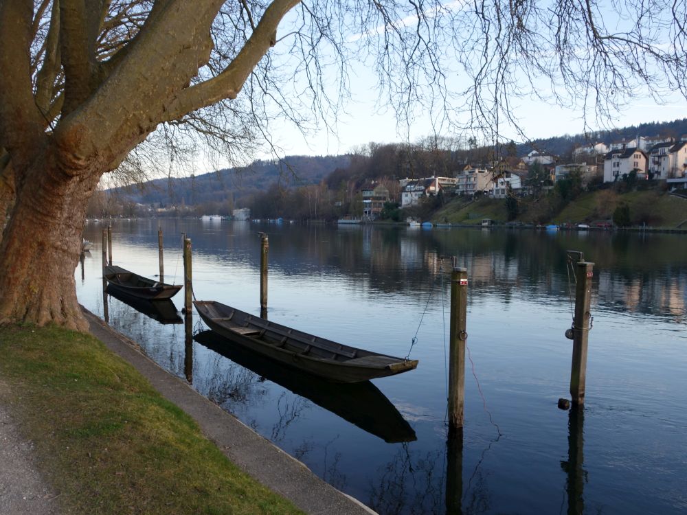 Boote am Rhein