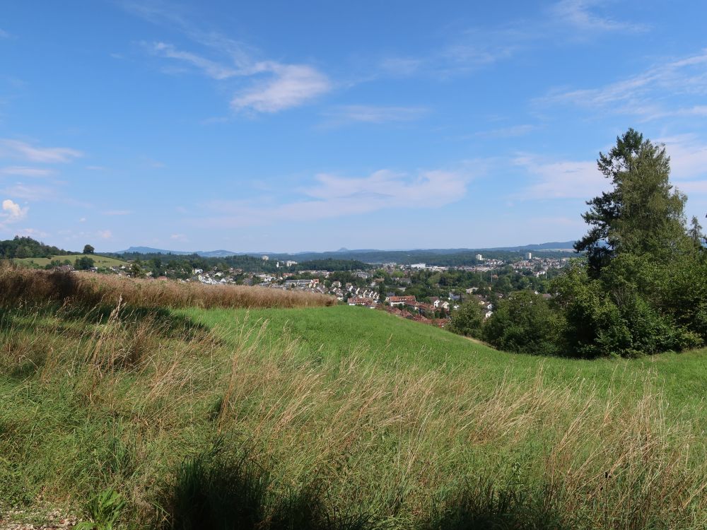 Hegauberge am Horizont