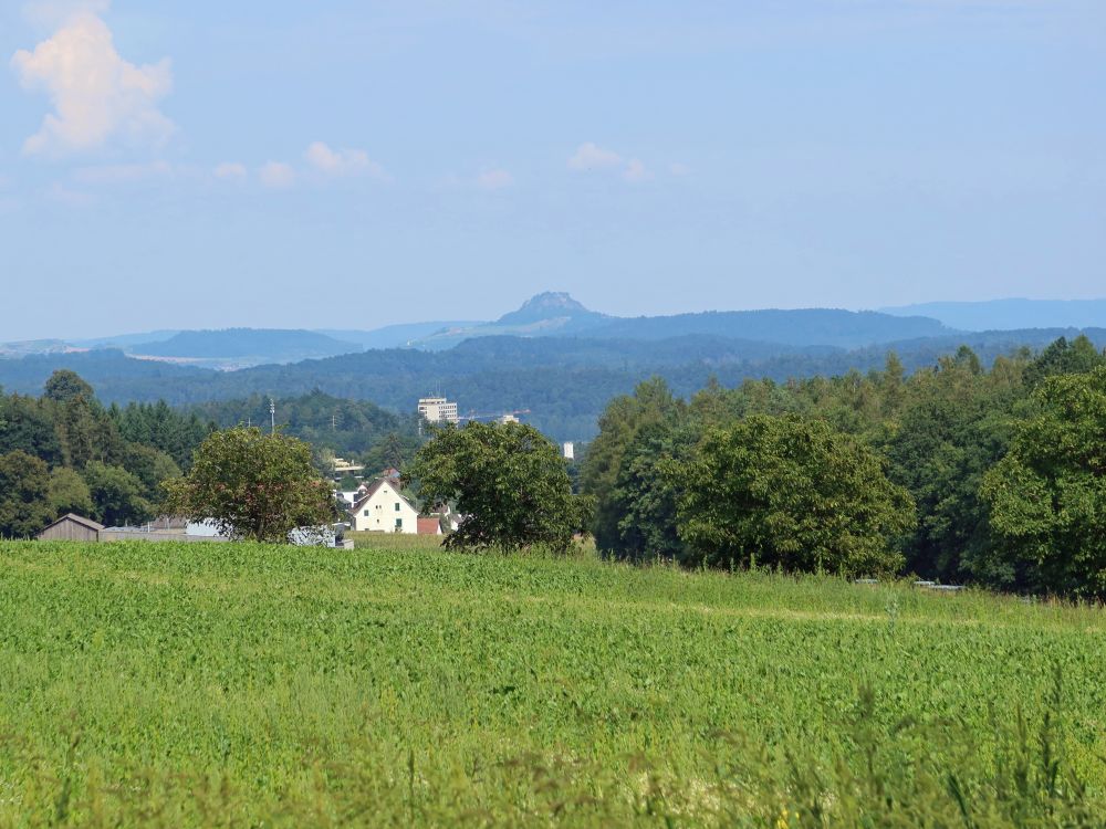 Hohentwiel am Horizont