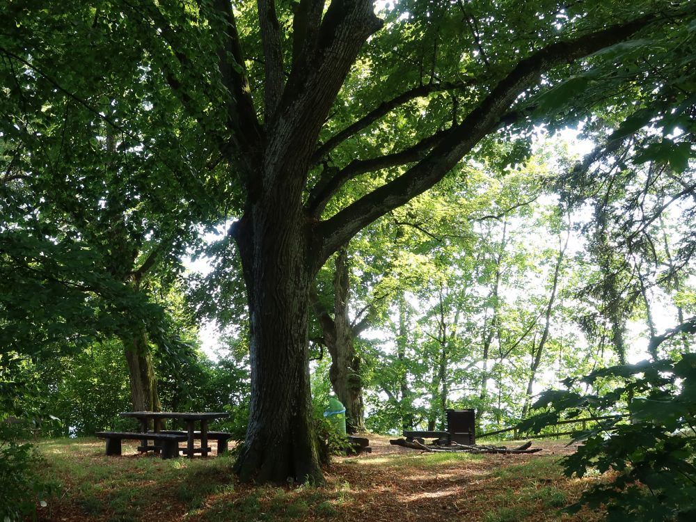 Grillplatz Hohflue