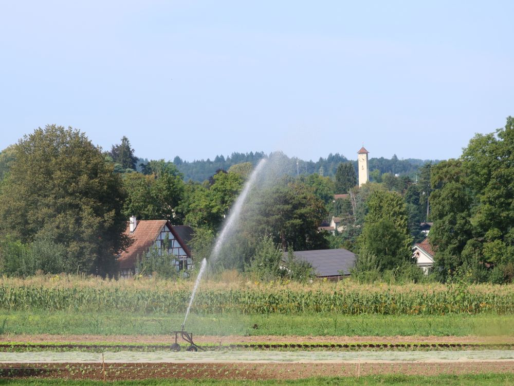 Bewässerung und Turm Steigkirche