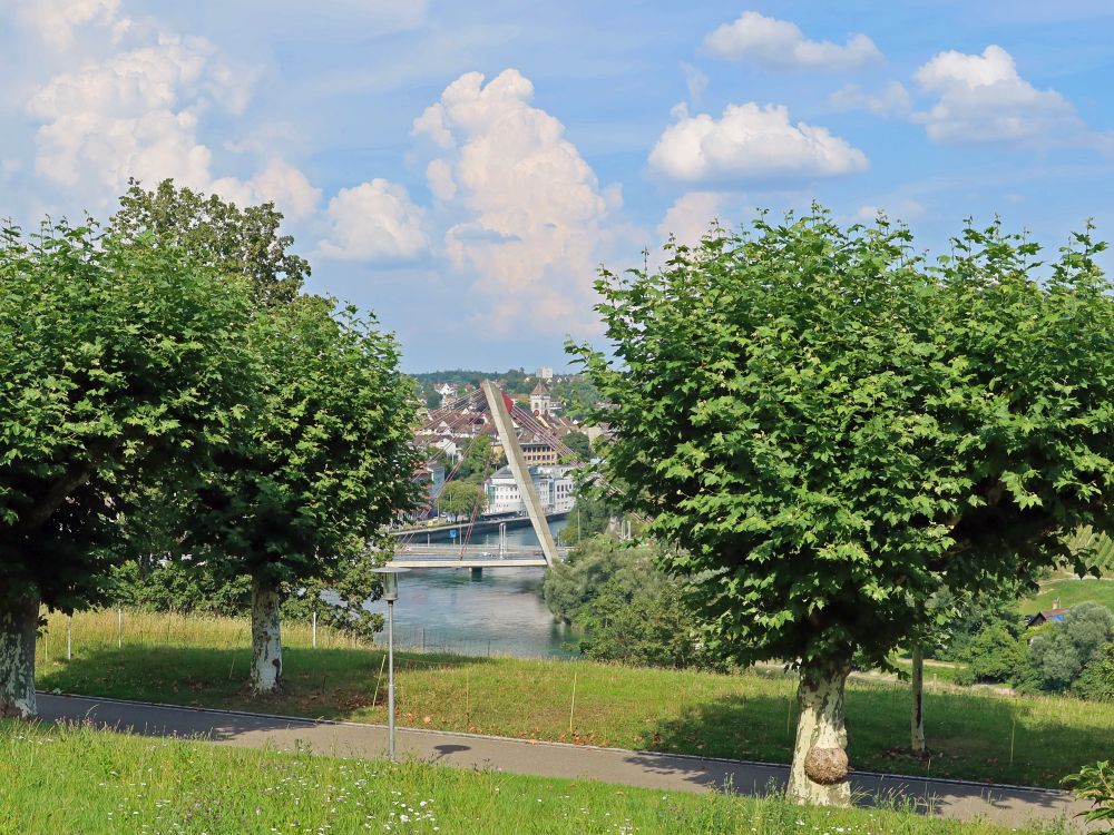 A4-Brücke übern Rhein