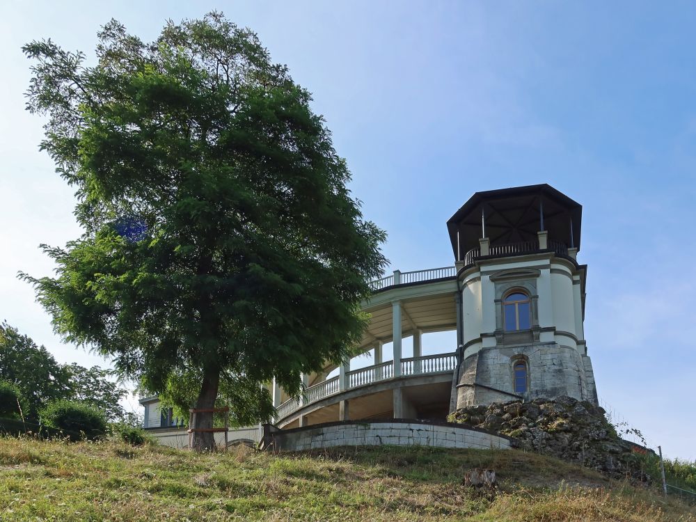 Moser Familienmuseum Charlottenfels