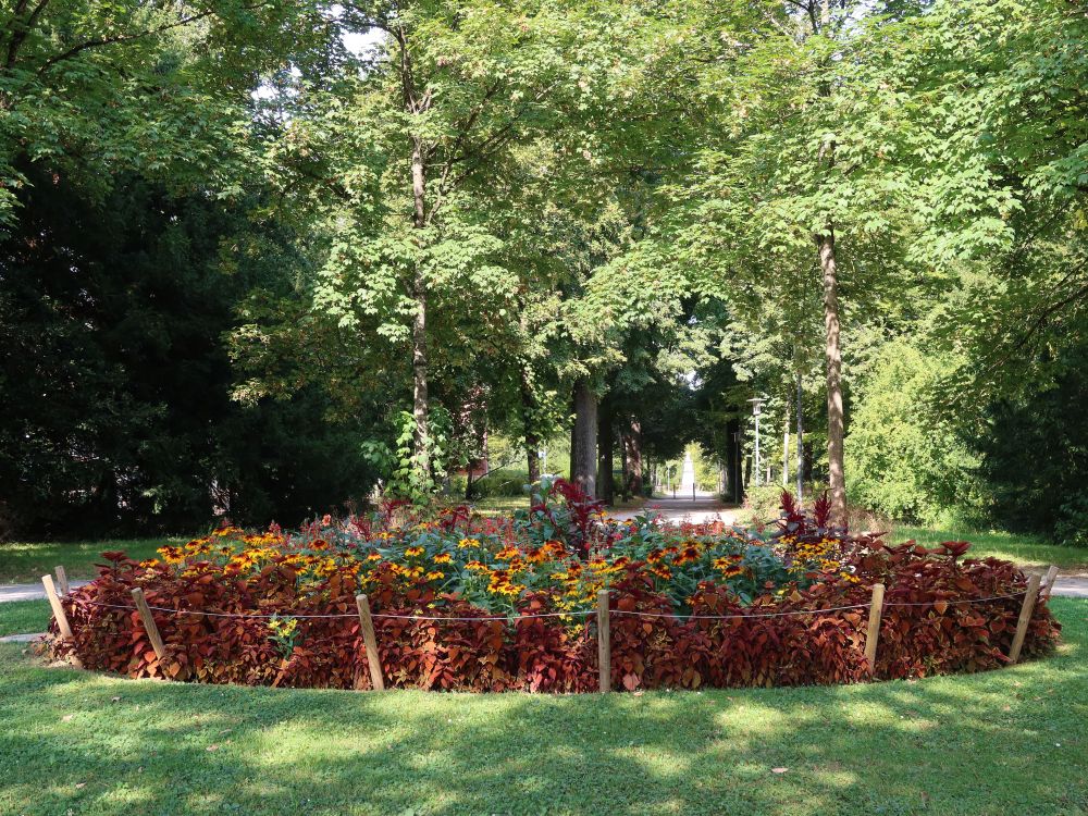 Blumen im Promenadenpark