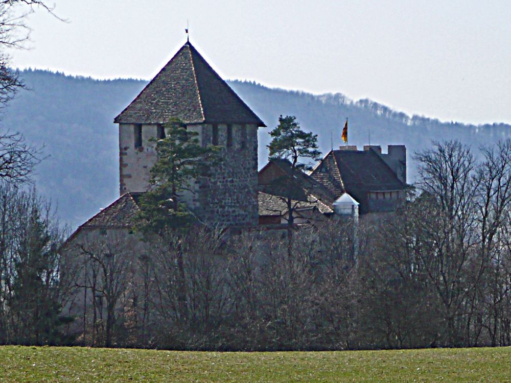 Burg Hohenklingen