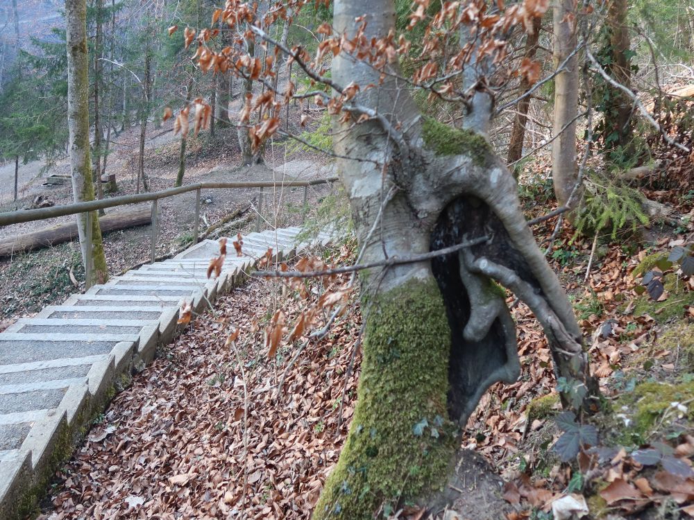 Treppe am Schlossbüel