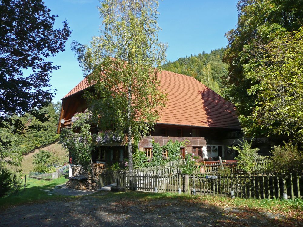 Hinterer Steinbishof