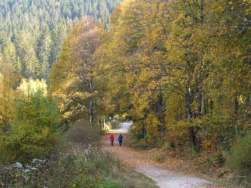 Wanderer im Herbstwald